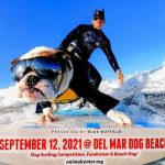 Серфинг Чемпионат для собак